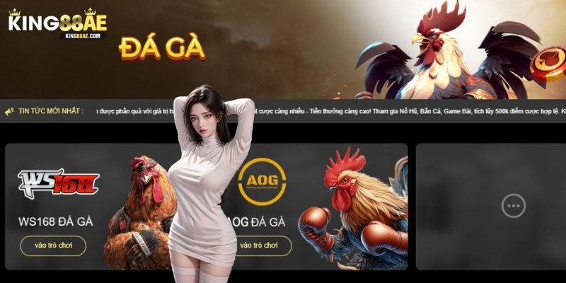 Đá gà trực tuyến King88: Cực phê từng trận đấu, hỗ trợ nạp rút tức thì