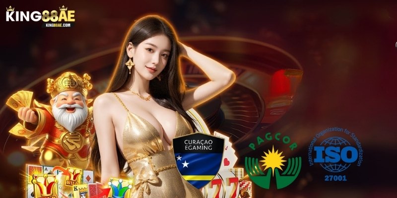 Giấy phép & chứng nhận uy tín
